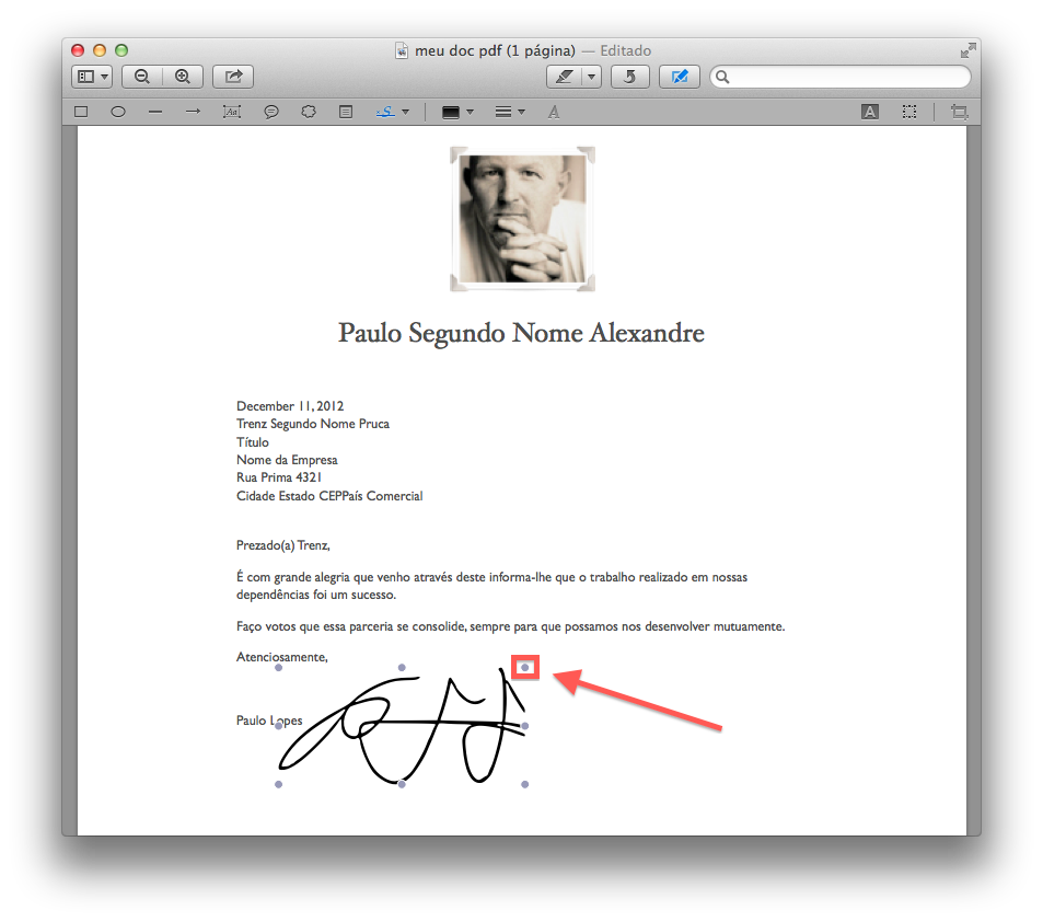 Como inserir assinaturas digitais em documentos PDF